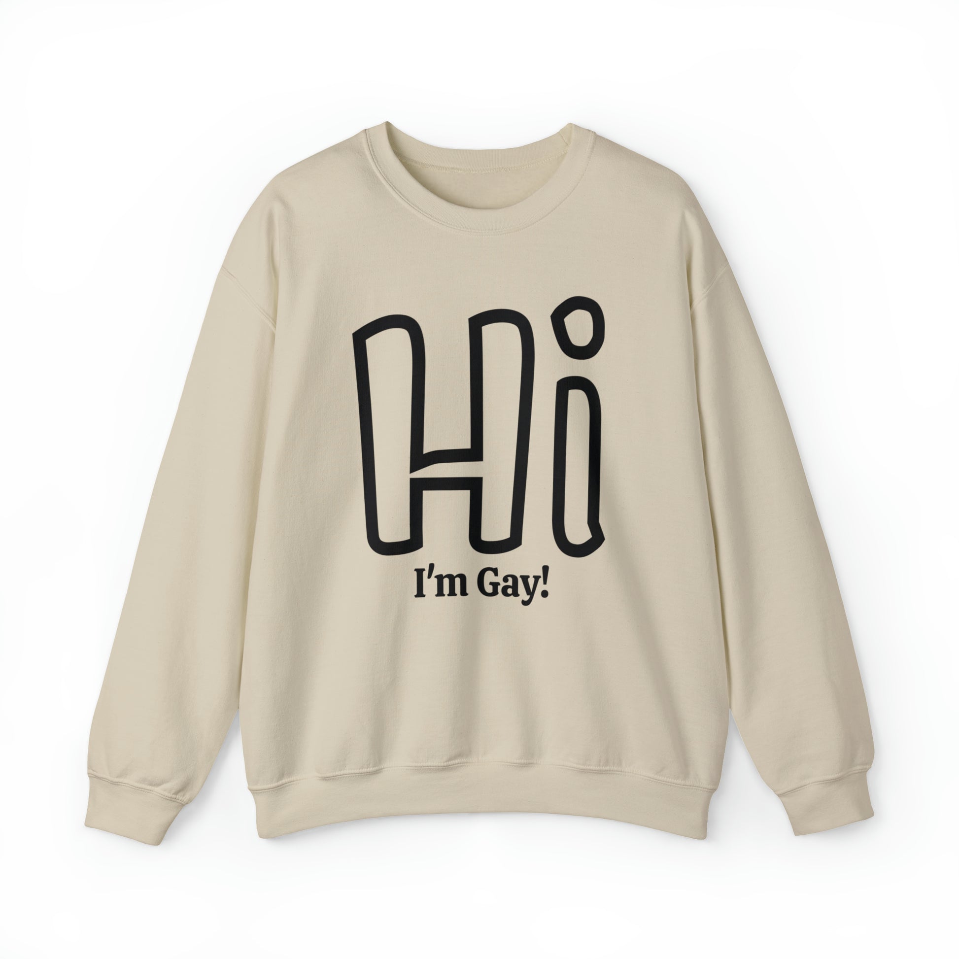 Hi I'm Gay Unisex Sweatshirt - Queer We Are Shop